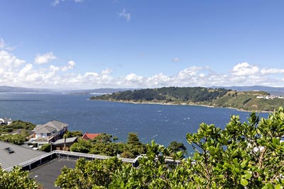 /international/nz/te-anau-road-hataitai-wellington-320097648865/