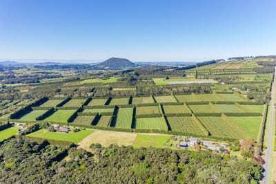 /international/nz/poroti-northland-320106333283/