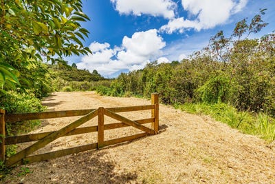 /international/nz/pipiroa-road-russell-northland-320108214569/