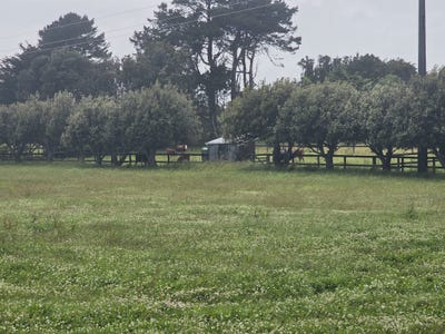 /international/nz/ruatapu-road-hokitika-west-coast-320105514679/