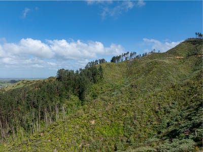 /international/nz/hakarimata-road-huntly-waikato-320102887446/