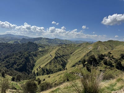 /international/nz/makakahi-road-ruatiti-manawatu-wanganui-320107424366/