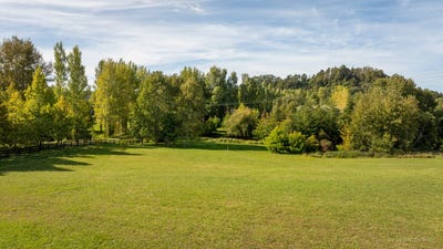 /international/nz/three-oaks-drive-dairy-flat-auckland-320107092891/