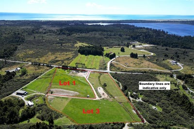 /international/nz/woodstock-rimu-road-hokitika-west-coast-320106245730/