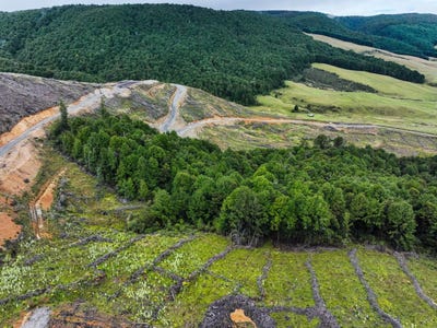 /international/nz/howard-valley-road-saint-arnaud-tasman-320107363840/