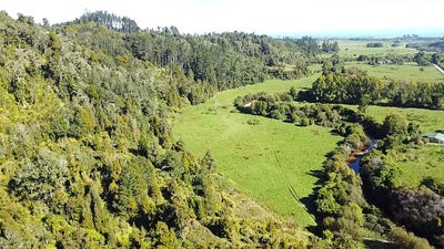 /international/nz/granite-creek-road-karamea-west-coast-320104561615/