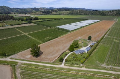/international/nz/pitcher-road-te-karaka-gisborne-320103347229/