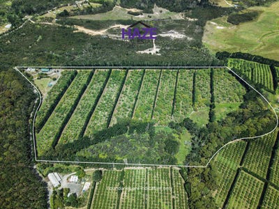 /international/nz/paparore-road-kaitaia-northland-320105428161/