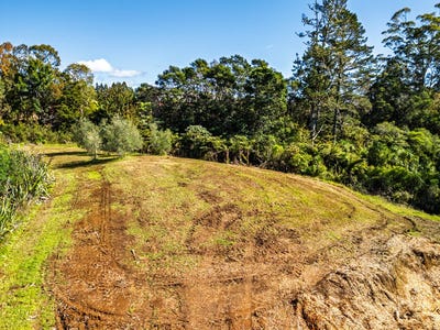 /international/nz/tanekaha-lane-kerikeri-northland-320107705741/