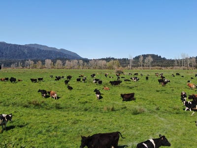 /international/nz/waitaha-road-ross-west-coast-320101848789/