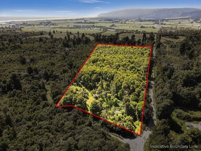 /international/nz/south-terrace-road-karamea-west-coast-320106264690/