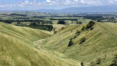 /international/nz/millars-road-carterton-wellington-320107471167/