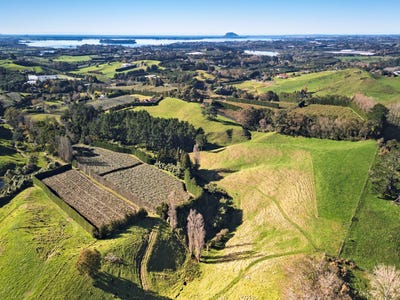 /international/nz/old-highway-whakamarama-bay-of-plenty-320100457363/