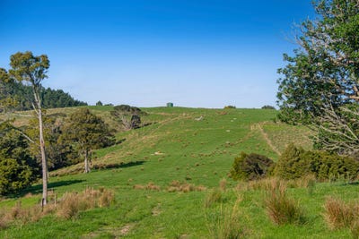 /international/nz/anderson-road-helensville-auckland-320106541930/