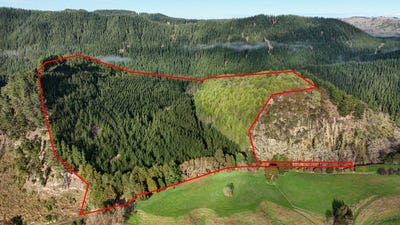 /international/nz/okirae-road-mangamahu-manawatu-wanganui-320101224643/