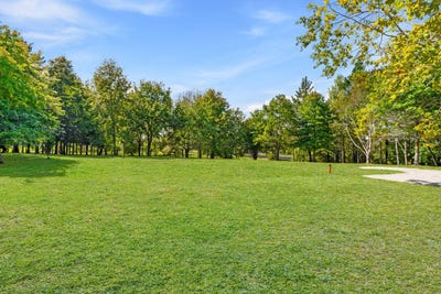 /international/nz/three-oaks-drive-dairy-flat-auckland-320106939793/