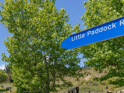 /international/nz/little-paddock-road-hokitika-west-coast-320105963506/