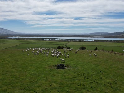 /international/nz/baker-road-waihola-otago-320106131417/