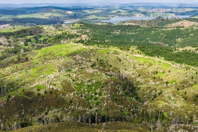 /international/nz/bickerstaffe-road-maungaturoto-northland-320108271839/