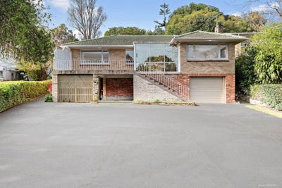 /international/nz/domain-road-panmure-auckland-320098097314/