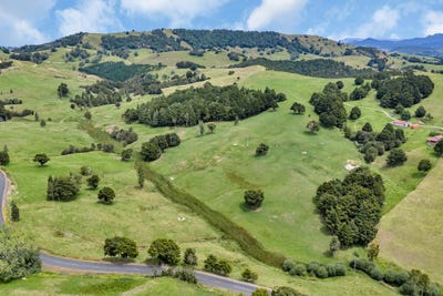 /international/nz/pipiwai-road-purua-northland-320105786163/