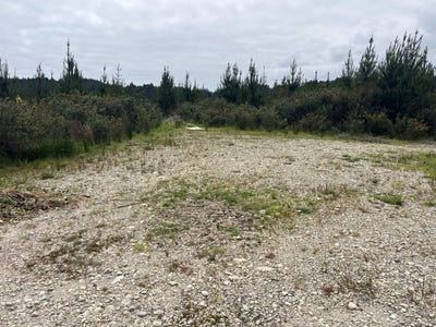 /international/nz/marsden-road-paroa-west-coast-320106015860/