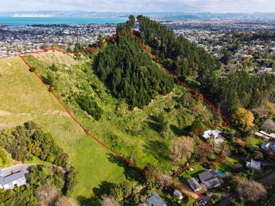 /international/nz/dp-419921-shelley-road-whataupoko-gisborne-320100883682/?lang=zh-cn