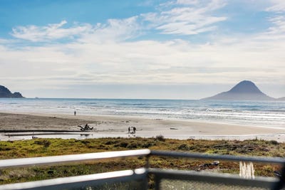 /international/nz/pohutukawa-avenue-ohope-bay-of-plenty-320108485344/