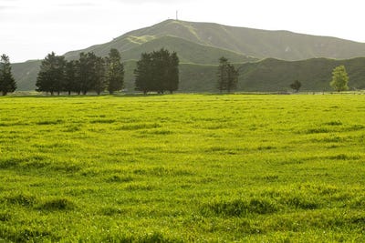 /international/nz/state-highway-2-whakaki-hawke-s-bay-320103284080/