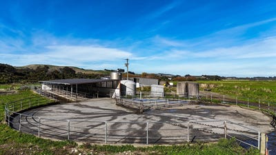 /international/nz/tuatapere-orepuki-highway-tuatapere-southland-320107861388/