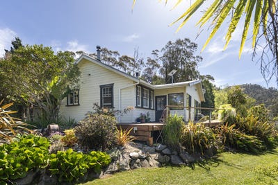 /international/nz/snake-creek-road-golden-bay-tasman-320103726574/