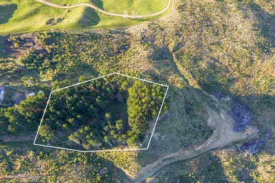 /international/nz/cooks-tooth-road-porangahau-hawke-s-bay-320101272633/
