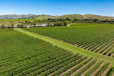 /international/nz/seaview-road-seddon-marlborough-320105345978/