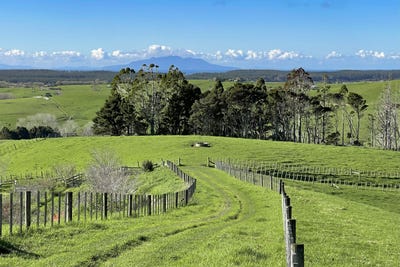 /international/nz/te-arai-point-road-te-arai-auckland-320100272030/