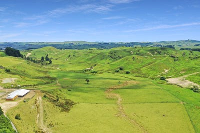 /international/nz/pohangina-valley-road-apiti-manawatu-wanganui-320089700349/