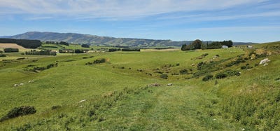 /international/nz/koi-flat-road-gore-southland-320107915178/