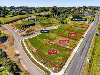 /international/nz/tukapa-street-hurdon-taranaki-320090917817/
