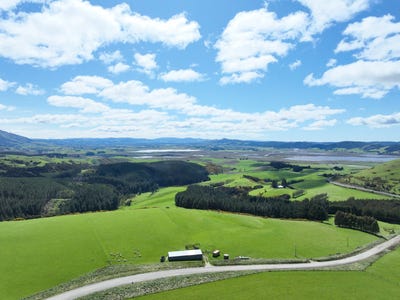 /international/nz/waihola-hill-road-waihola-otago-320108366279/