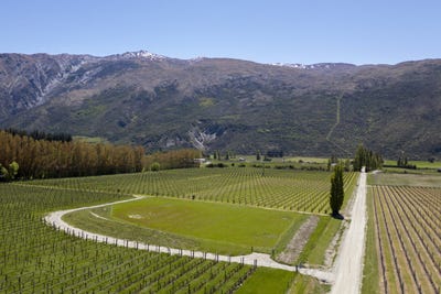 /international/nz/gibbston-back-road-gibbston-otago-320103762549/