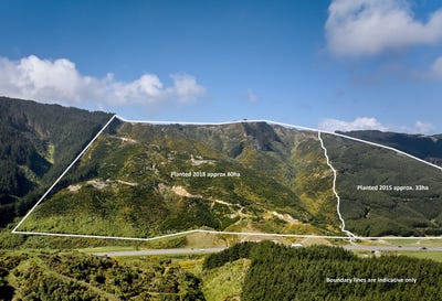 /international/nz/paekakariki-hill-road-pauatahanui-wellington-320105024157/