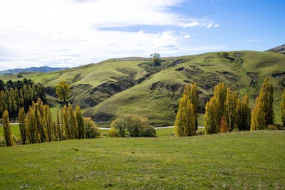 /international/nz/mackenzie-road-kahuranaki-hawke-s-bay-320107767502/
