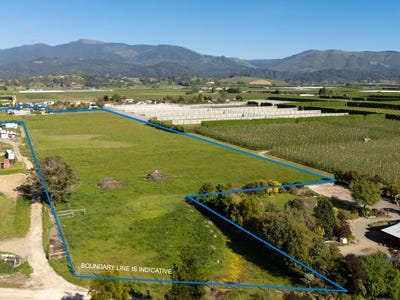/international/nz/main-road-lower-moutere-tasman-320105322078/