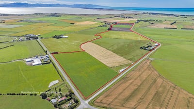 /international/nz/southbridge-sedgemere-road-leeston-canterbury-320097297271/