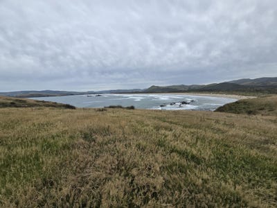 /international/nz/cannibal-bay-rd-owaka-otago-320096813867/