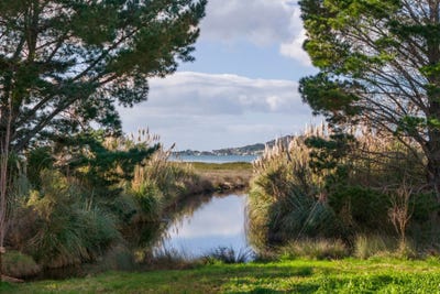 /international/nz/athenree-road-katikati-bay-of-plenty-320101077373/?lang=zh-cn