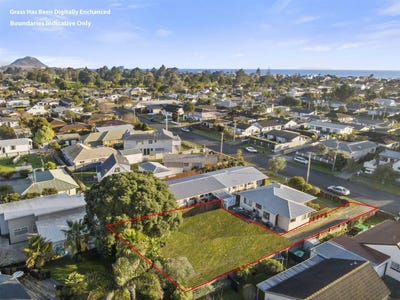 /international/nz/leander-street-mount-maunganui-bay-of-plenty-320100145149/