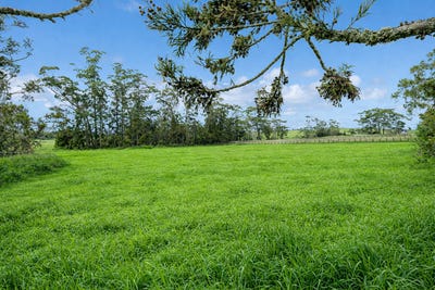 /international/nz/waitoki-road-waitoki-auckland-320105984167/