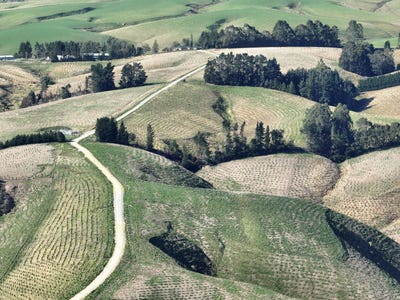 /international/nz/mcculloch-road-balclutha-otago-320107495106/