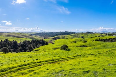 /international/nz/glenmohr-road-waipu-northland-320105921289/