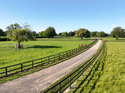 /international/nz/wells-road-tirau-waikato-320105227965/